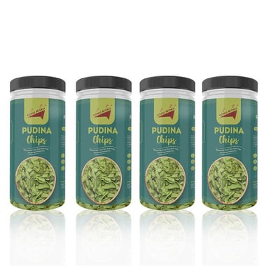 TOKU MOKU Tasty & High Protein Pudina Chips,  Masala Punch (Pack of 4)  150 g 