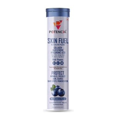 Potencia Skin Fuel Effervescent,  15 tablet(s)  Mint Blueberry 