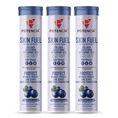 Potencia Skin Fuel Effervescent,  15 tablet(s)  Mint Blueberry (Pack of 3) 