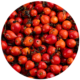 Rosehip Extract