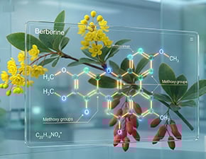 Why Science of ACV + Berberine